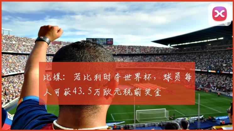 比媒:若比利时夺世界杯,球员每人可获43.5万欧元税前奖金